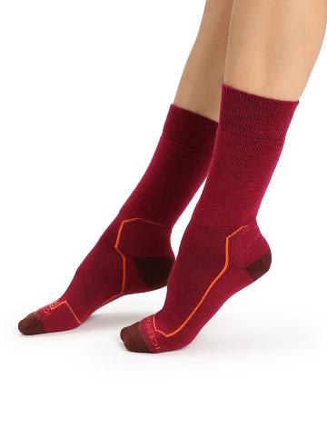 Cherry / Espresso Women's Icebreaker Merino Hike+ Medium Crew Socks | USA 1430HAPK